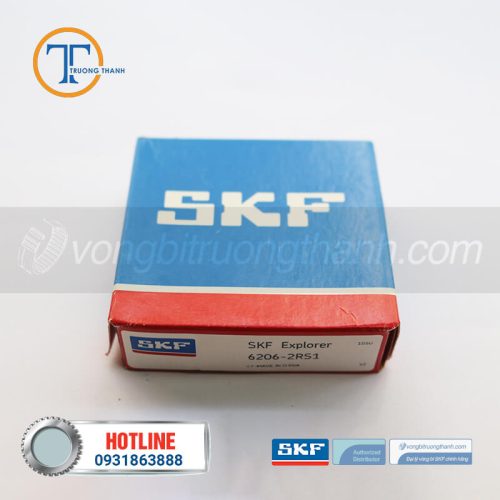 skf 6206 2rs1