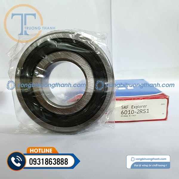 skf 6010 2rs1